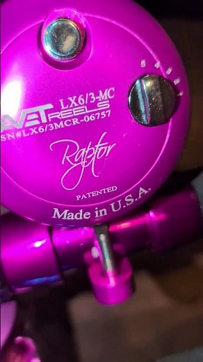 Avet MXL, MXL G2 & LX Raptor MC Cast Reels! #fishing #fishinggear #shorts