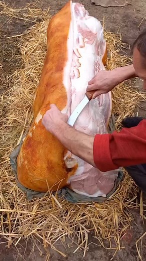 Butchering a Side of Beef: Step-by-Step Process