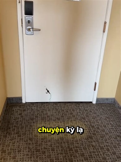 Kẻ Trộm Mở Cửa Bằng Nam Châm: Không Dấu Vết