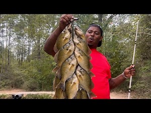 Caught Over 30 Bluegill In This Tiny Magnolia Pond !!!! Catch Clean & Cook