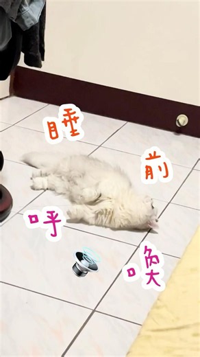 ［悠妮哭囉］睡前呼喚🔊🤭😍