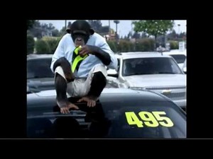 Trunk Monkey Compilation New Video Plus All Others