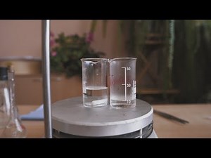 Jonų mainų reakcijos | 10 klasė (Chemija)