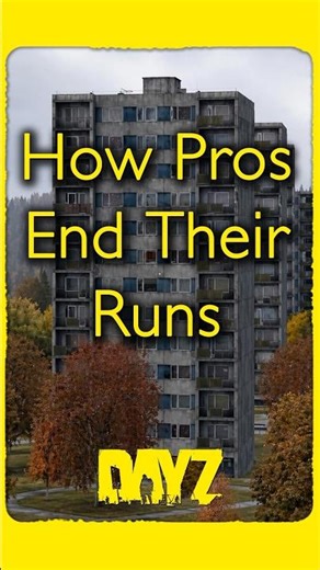 🤣 How PROS End Their Runs 🏃🏼‍♂️ #dayz #dayzpvp #dayzfunny