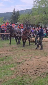 62K views · 879 reactions | Felicitări Ghita Anca ! | Roxana Gheorghiu | Facebook