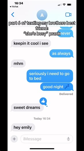 Texting My Brother's Best Friend: Part 6 Prank Revealed