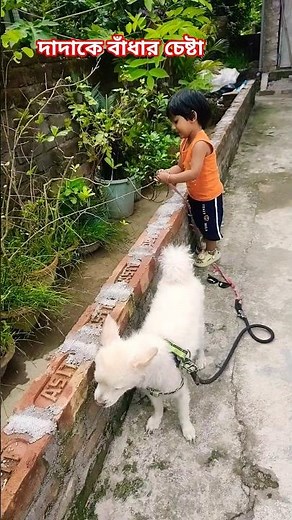 দাদাকে বাধার চেষ্টা 😂🧿 #barnalilifestyle #funny #ytshorts #shorts #short#youtubeshorts #shortvideo