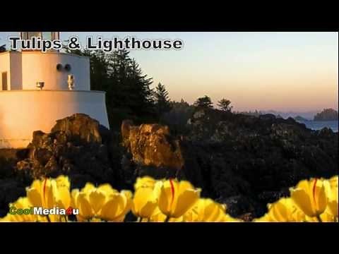 Creative Windows 7 Sample Pictures, Sample Video and Sample Music Collection