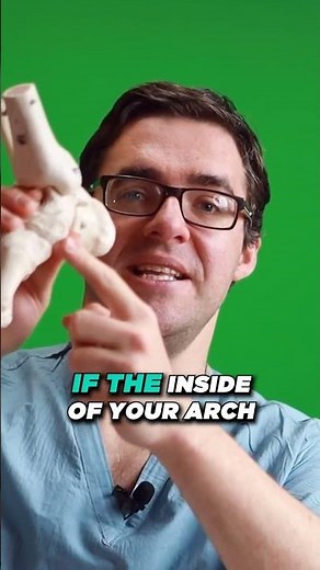 What is Navicular? [ what causes pain in the navicular Bone?]