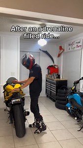 Sometimes they are insane 😬😂 #biker #dogs #puppies #home #aprilia #rsv4 #yamahar6 #bikerlife #puppylife #cute #adorable #germanshepherd #bikerboysofinstagram | Rusewheels