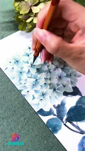 Beautiful Blue Hydrangea Watercolor Painting 🌸 ​#HydrangeaPainting #FloralArt #BotanicalArt #art