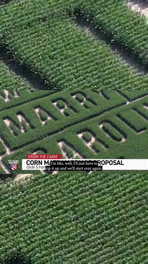 189K views · 4K reactions | A larger than life marriage proposal! #agriculture | U.S. Farm Report | Facebook
