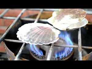 Grilling Live Scallops