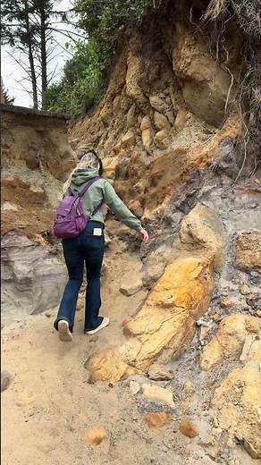 Dog-Friendly Oregon Coast Hikes (Best Coastal Trails With Dogs)