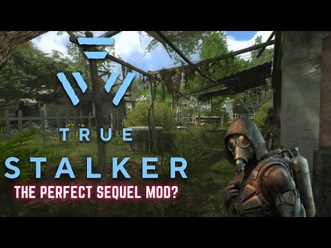 This mod is fantastic! True S.T.A.L.K.E.R. Review