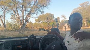 45K views · 1.1K reactions |  Last Friday in the heart of the...