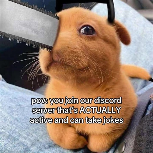 Join Our Active Discord Server for Fun and Friends