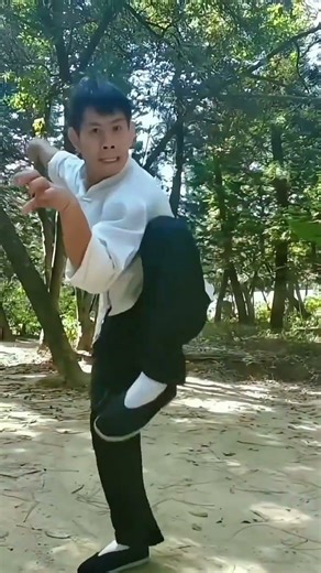 In the last work you all said that snake boxing was afraid of eagle boxing so how should y