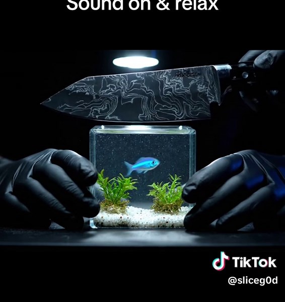 Sound on & relax 🔊 #SliceGod #ASMR #fyp #satisfyingcuts #viralcut