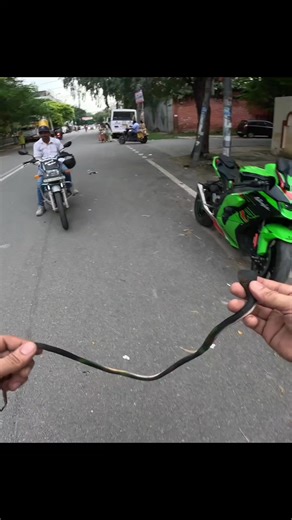 Udne Vala saanp (सांप) Chad geya ladki pe😱Part- 7 | HSB