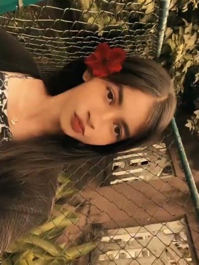 අලුත් එකට හැදුවද !! 🤩🖤📌💐 #netharuq51 #capcut #capcut_edit #viral_fyp #Love #foryoupage #fypシ