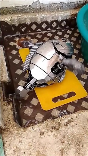 metal fish, AI extension