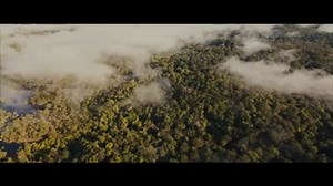 From the producer of Harry Potter comes the big screen movie debut of PADDINGTON, in cinemas this Christmas. See the new trailer here: | Paddington Bear