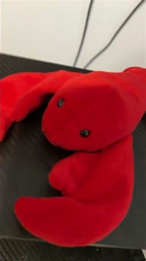 My mouse is sharp #zertifiedxd #funny #lifeisbutadream #internetculture #memes