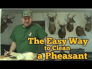 The Easy Way to Clean a Pheasant