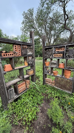 Checkout this Pollinator Bug Hotel! | Texas Garden Guy