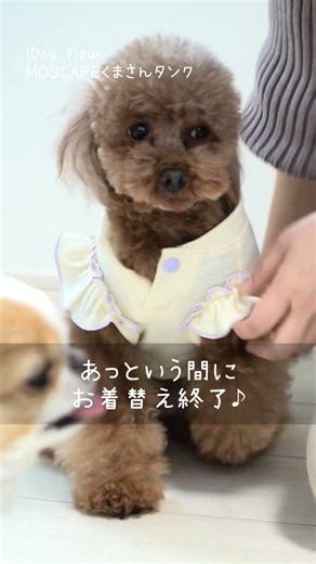 fleurMOSCAPEくまさんタンク