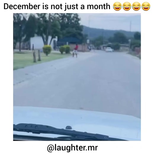 I want to get this drunk 😭😭 | laughter.mr