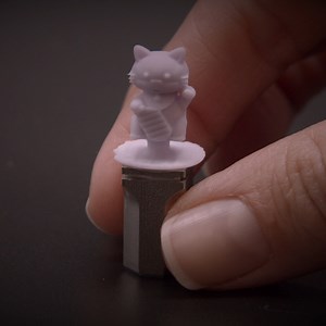 20 reactions | Today we celebrate the international Cat Day. The results and the precision of our compact Ceramill Motion DRS mill are purrrrrfect. Learn more about Ceramill DRS at www.amanngirrbach.com/ceramill-drs | Amann Girrbach | Facebook