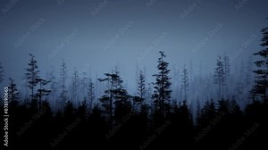 Moonlight through the fog among spruce trees in magic mystery night forest. Halloween backdrop.