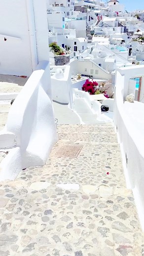 美しいサントリーニ島の街角❁ ❁ Beautiful Santorini streets❁❁ #サントリーニ #サントリーニ島 #ギリシャ #santoriniisland #santorini #santorinitravel #greecetrip #greecetravel #ギリシャ旅行 #世界の絶景 #美しい風景 #firasantorini #ヨーロッパ旅行 #europetravel #europetrip