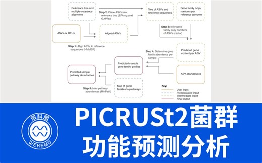 PICRUSt2菌群功能预测分析