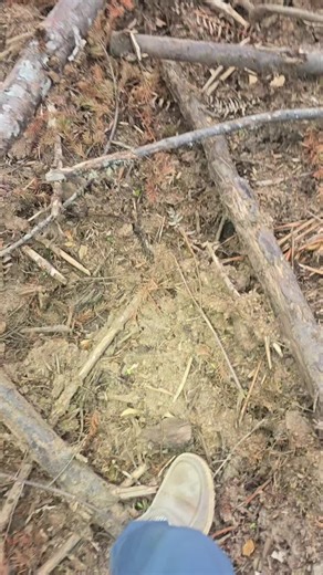BIG AGATE/CRYSTAL!! I was walking this hillside that exposes alot of rock and agate when it rains and noticed the different color just barely showing! Such a unique big chunk!! #agate #rockhounding #carnelian #pnw #rockhound #rocktok #foryoupage❤️❤️ #fyp