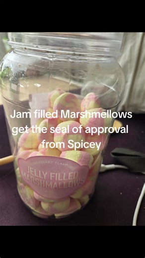 seal of approval for jam filled marshmallows from Spicey #spicey #marshmallow #jamfilled