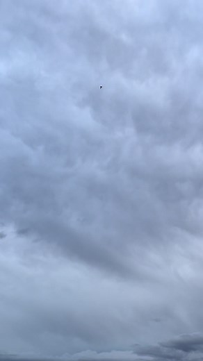 Gripen sunset display at sanicole 😍#sanicole #saabgripen #fighterjet #airshow #fyp