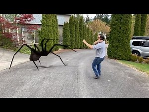 GIANT SPIDER ATTACKS!!!
