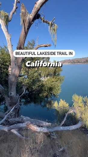 This is one of the most beautiful lakeside trails in California! There are several excellent viewing areas to enjoy the pristine waters and the rolling hills and mountains in the background. Some trails require you to hike forever just to get to a lake. However, this trail hugs the edge of beautiful Cachuma Lake the whole way. The lakeshore consist of oak woodland, so about half of the trail lies in cool shade. When you get to the turnaround point, you can either enter the Cachuma Recreation Are
