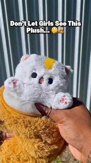 Don’t Let Girls See This Plushie 😽❤️