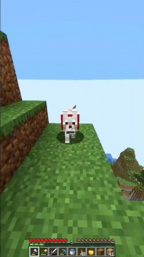 Minecraft dog moment