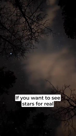 29K views · 30 reactions | Meet Lem – your zesty new playmate  Its happy yellow hue makes it perfect for those exploring air suction bliss for the first time. Order Lem now, if you’re looking for a fresh escape from everything boring, blending zest and discretion in every touch. | Hello Nancy | Facebook