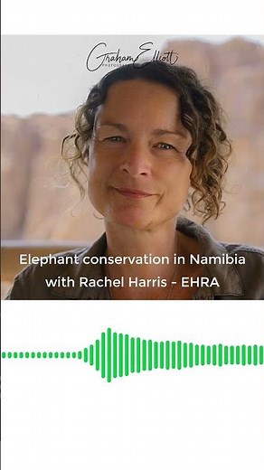 Elephant conservation in Namibia with Rachel Harris EHRA - soundbite #conservation #elephants