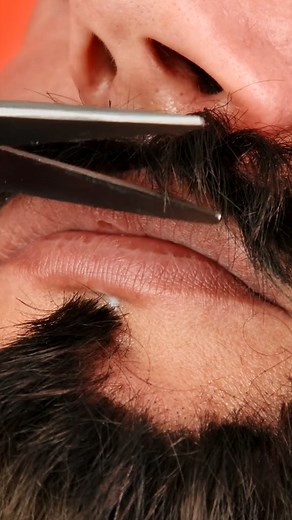 35K views · 41 reactions | This fake beard is so well done!!  #beauty#beard#fakebeard#hacks | Outfit Anatomy | Facebook