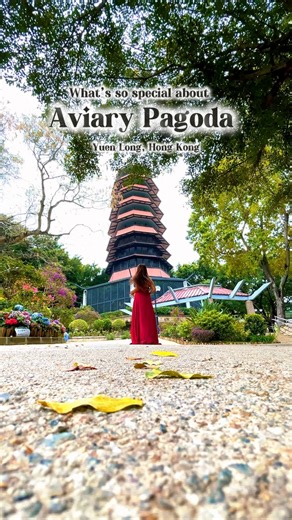 Located in Yuen Long, Hong Kong, Aviary Pagoda is a bird sanctuary. But what’s interesting about this place is its spiral staircase. Absolutely a perfect photo spot. | Arcee Xandrah Rain