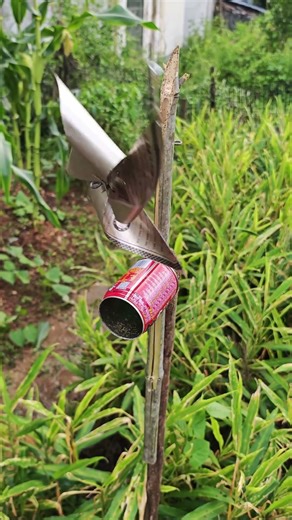 Low-cost and high-return bird repellent solutions