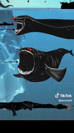 The bloop part2 #ocean#monster#creatures