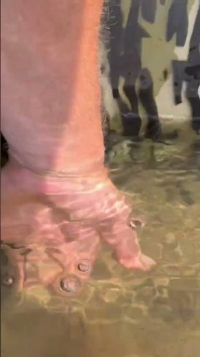 All New SeaArk Predator, Shallow Draft Jet Boat Demo #boating #centerconsoleboat #seaarkboats